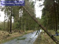Hilfeleistung - Sturmschaden