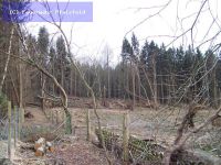 Hilfeleistung - Sturmschaden