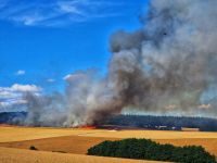 Flächenbrand