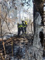 Flächenbrand