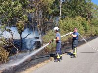 Flächenbrand