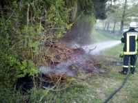 Flächenbrand