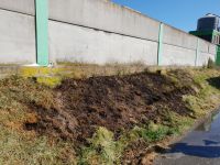 Flächenbrand