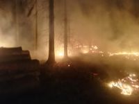 Flächenbrand