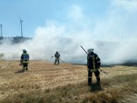 Flächenbrand