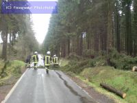 Hilfeleistung - Sturmschaden