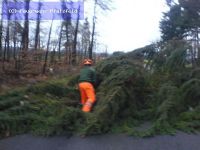 Hilfeleistung - Sturmschaden