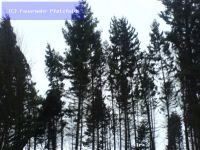 Hilfeleistung - Sturmschaden