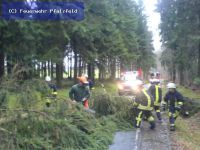 Hilfeleistung - Sturmschaden