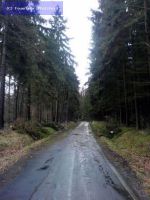 Hilfeleistung - Sturmschaden