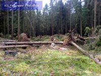 Hilfeleistung - Sturmschaden